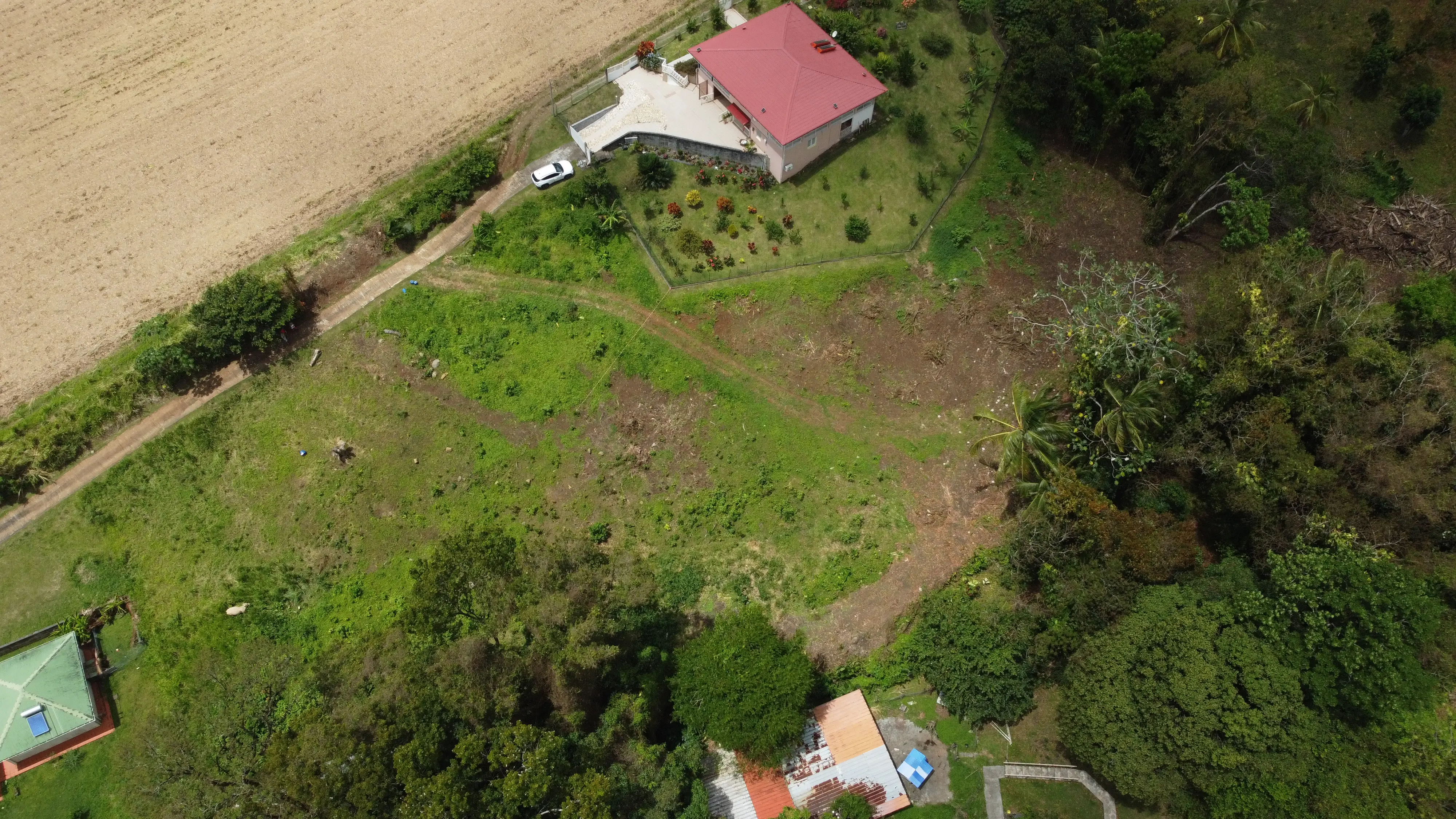 Terrain — Rivière-Pilote, secteur Concorde (2 771 m²)