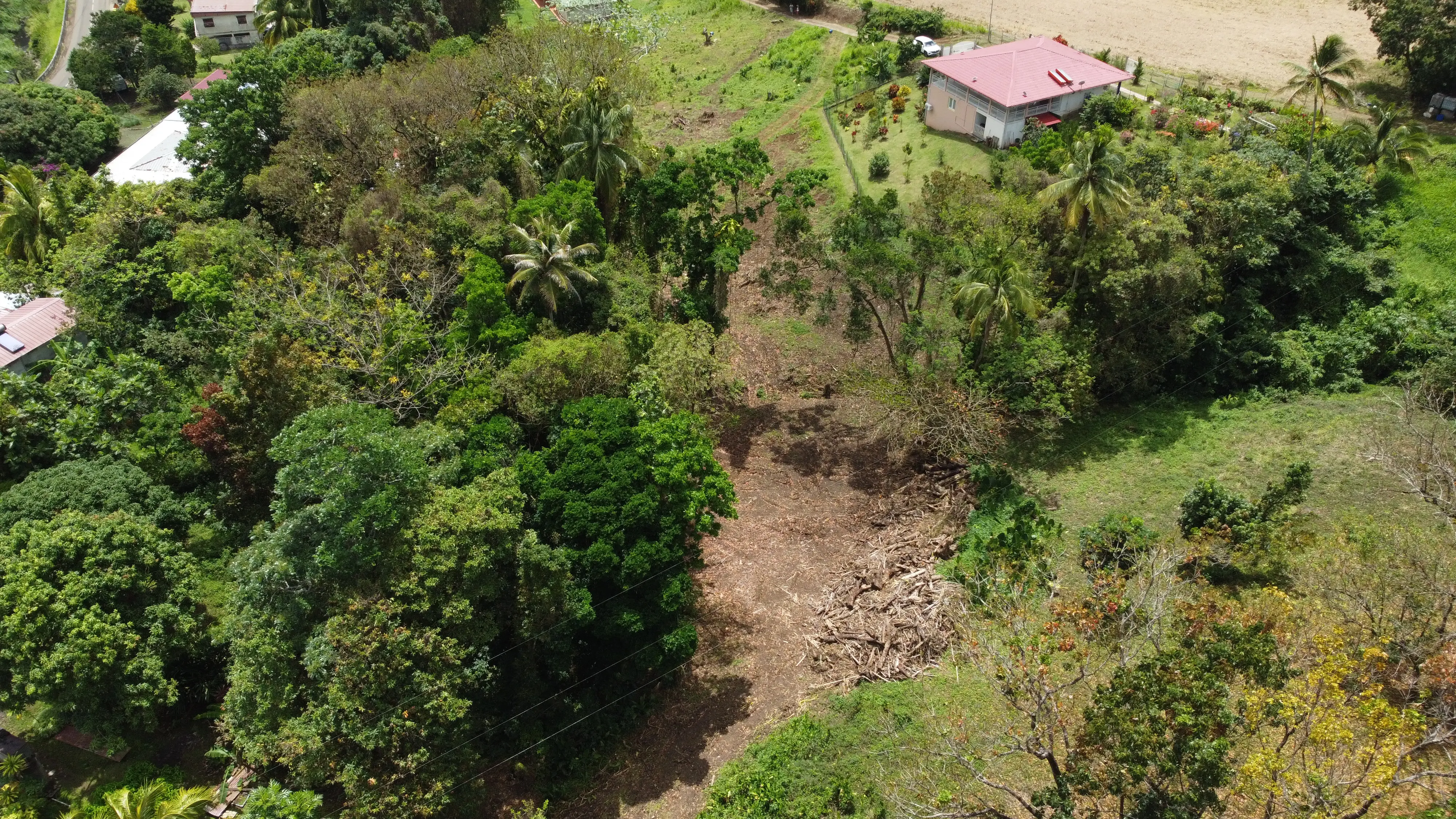 Terrain — Rivière-Pilote, secteur Concorde (2 771 m²)