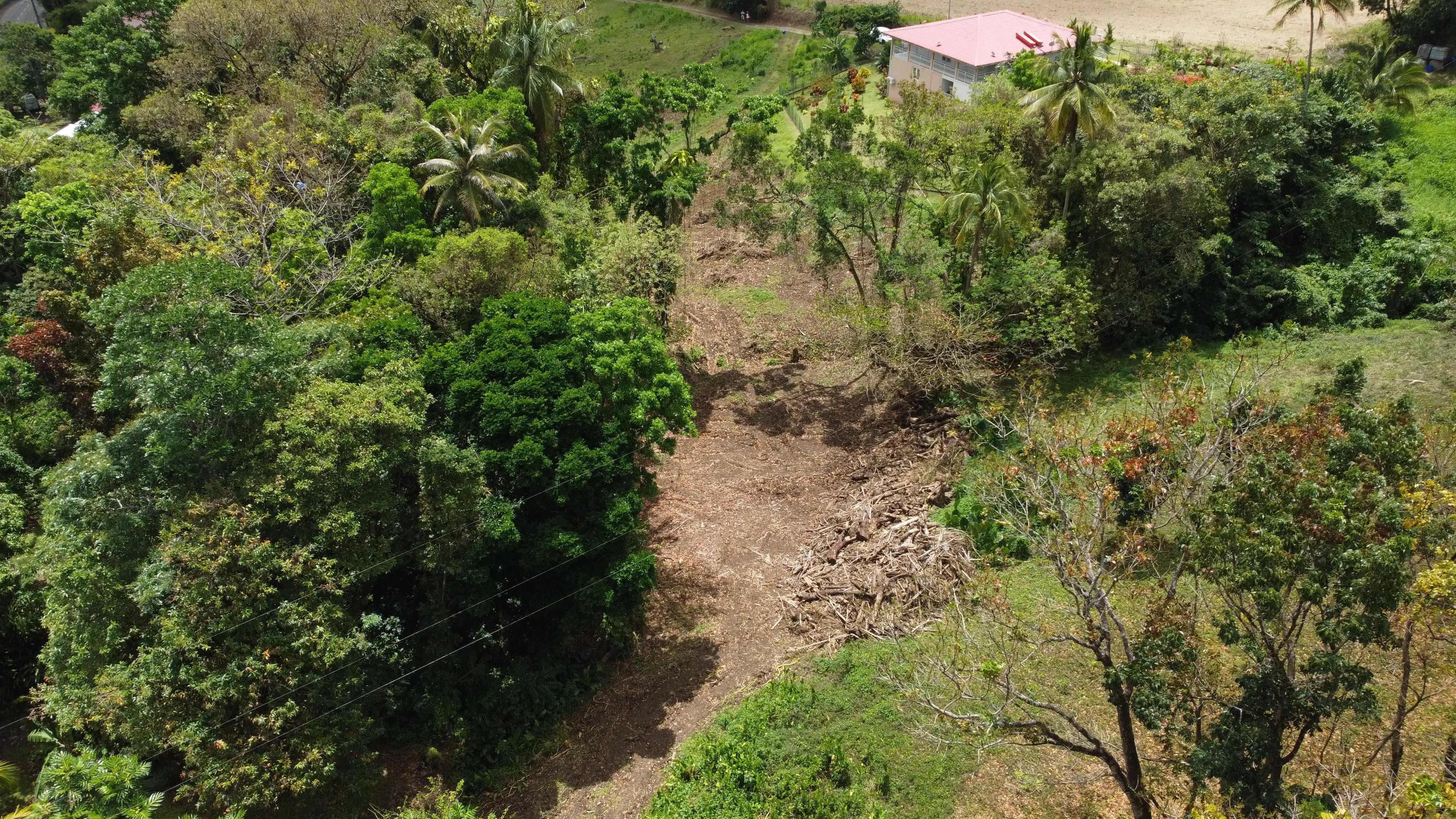 Terrain — Rivière-Pilote, secteur Concorde (2 771 m²)
