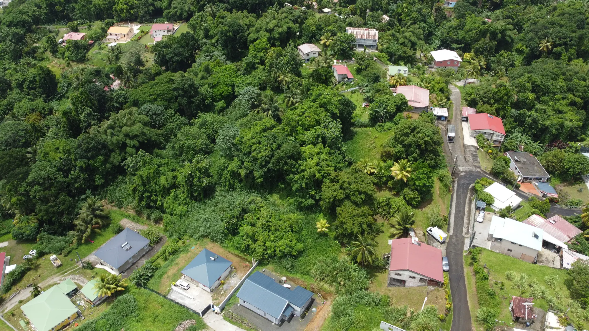 Photo de Grand Terrain Constructible de 9 044 m² avec Maison T4 à Vendre au Gros-Morne – Martinique à Gros-Morne