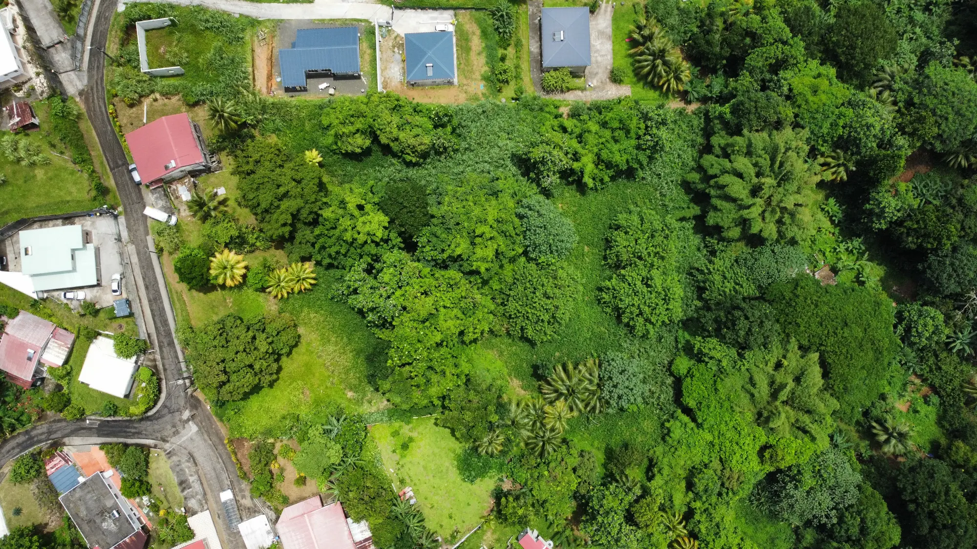 Grand Terrain Constructible de 9 044 m² avec Maison T4 à Vendre au Gros-Morne – Martinique