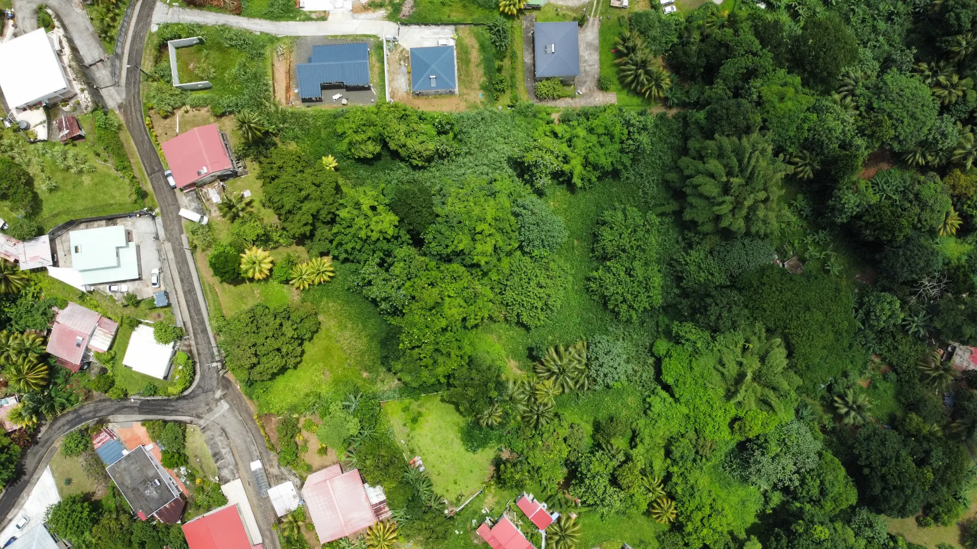 Grand Terrain Constructible de 9 044 m² avec Maison T4 à Vendre au Gros-Morne – Martinique