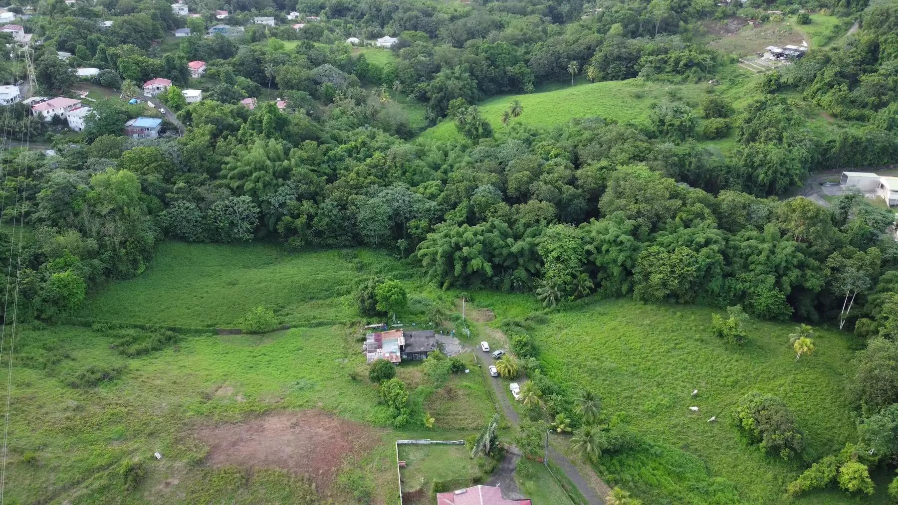 Martinique, Le Lamentin – 4,4 ha agricole avec zone constructible