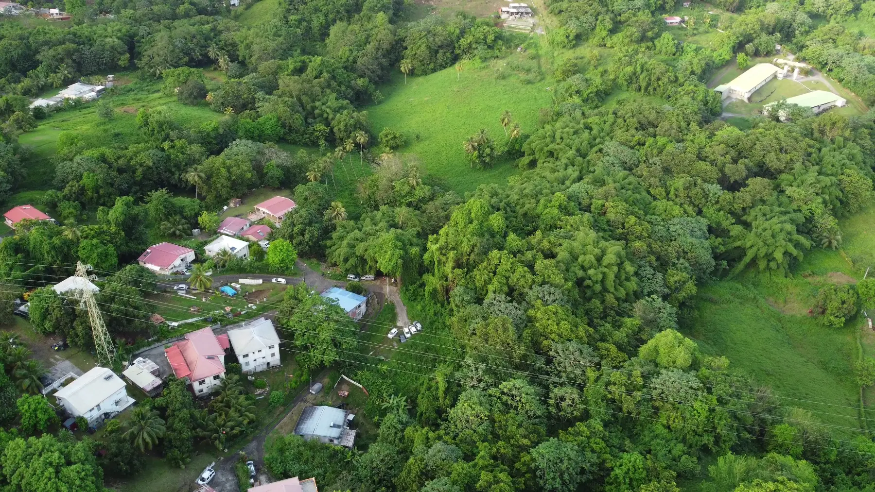 Martinique, Le Lamentin – 4,4 ha agricole avec zone constructible